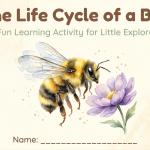 Bee Life Cycle Learning Chart | Honey Bee Stages Printable (Digital Download)