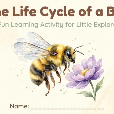 Bee Life Cycle Learning Chart | Honey Bee Stages Printable (Digital Download)