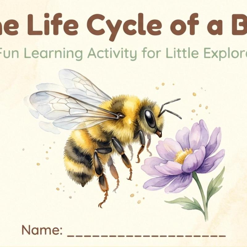 Bee Life Cycle Learning Chart | Honey Bee Stages Printable (Digital Download)