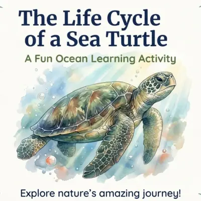Sea Turtle Life Cycle Printable | Digital PDF