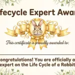 Rabbit Life Cycle Activity Pack for Kids – Printable Science Worksheets (15 Pages)